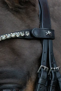 Discount Schockemöhle Sports Milazzo Kandar Hodelag & Nesereimer