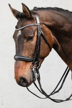 Outlet Schockemöhle Sports Milton Anatomic  Double Bridle Hodelag & Nesereimer
