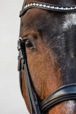 Outlet Schockemöhle Sports Milton Anatomic Double Bridle Hodelag & Nesereimer
