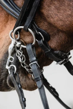 Outlet Schockemöhle Sports Milton Anatomic Double Bridle Hodelag & Nesereimer