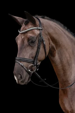 Clearance Schockemöhle Sports Palermo Trinse Ponni Hodelag Og Grimer|Hodelag & Nesereimer