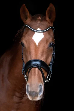 Outlet Schockemöhle Sports Stanford anatomisk hodelag Hodelag & Nesereimer