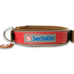 Hot utendørs halsbånd Hundebånd