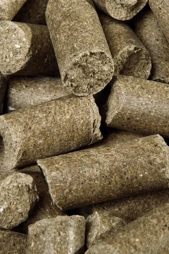 Outlet Eucalyptus Delicious ies, godbiter, 5 kilo Hestegodteri