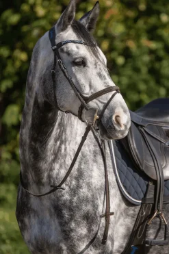 Sale Dynamic RS Sensogen Bit 14 mm Trav Bitt|Andre Bitt