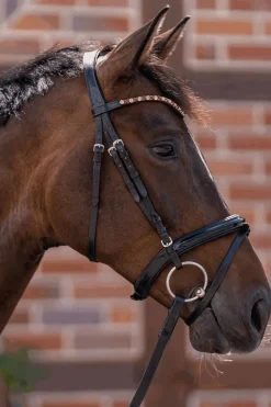 Online Novocontact løse ringer bitt 14mm enkeltleddet Sensogan med 70mm ringer i rustfritt stål Trinsebitt