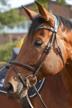 Discount Novocontact Muffebitt 14mm Enkeltleddet Sensogan Med D-Formede Ringer Muffebitt