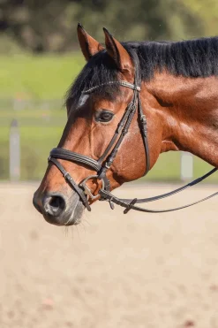 Discount Novocontact Muffebitt 14mm Enkeltleddet Sensogan Med D-Formede Ringer Muffebitt