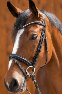 Best Novocontact Olivehead Bit, Double Jointed D-ringsbitt