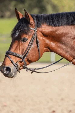 Best Novocontact Olivehead Bit, Double Jointed D-ringsbitt