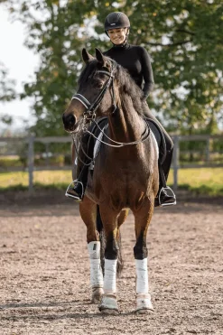 Online Novocontact todelt bridonbitt, J. Sensogan 12 mm Bridonbitt