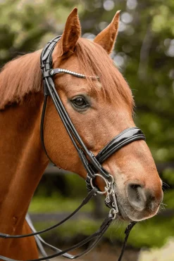 Best Novocontact Weymouth 14mm Sensogan med 5cm rustfrie stålkjefter Kandarbitt