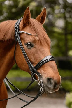 Best Novocontact Weymouth 14mm Sensogan med 5cm rustfrie stålkjefter Kandarbitt