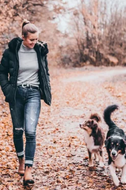 Online Suedwind Footwear New Work ankelboots, Chelsea Ridesko Og Jodphurs