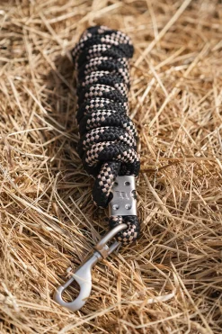 Tilbake på sporet Ace Lead Rope Leietau