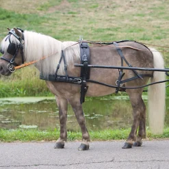 Outlet Economic sele, enbet, ponni og shetland Seler For Trav