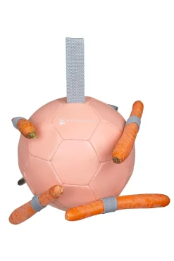 Sale Gulrotball Hesteleker Og Utstyr Til Ridebanen|Hesteleker