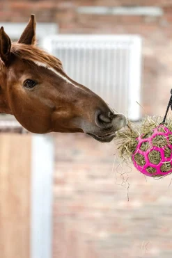 Hot Høball Hesteleker Og Utstyr Til Ridebanen|Hesteleker