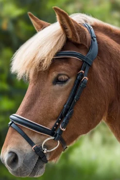 Clearance Rose Icelandic Bridle Ponni Hodelag Og Grimer|Hodelag & Nesereimer