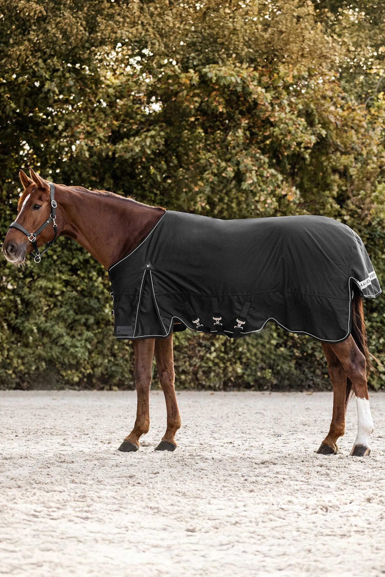 Outlet Scandic Utedekken, 200 g Overgangsdekken & Vinterdekken