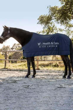 Sale W-Health & Care Ice Layer Kjølepledd Terapidekken