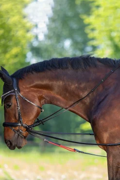 Outlet WTrainrein Tøyler