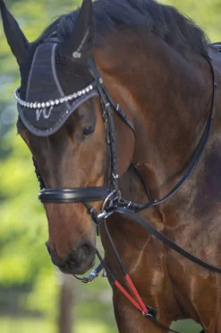 Outlet WTrainrein Tøyler