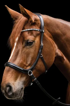 Online X-Line Sensation anatomisk bittløst hodelag Hodelag & Nesereimer