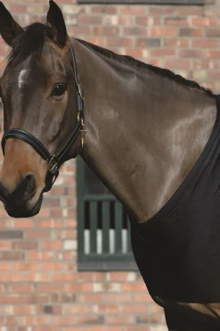 Online Weatherbeeeta stretch bogbeskyttelse Hestedekken Tilbehør