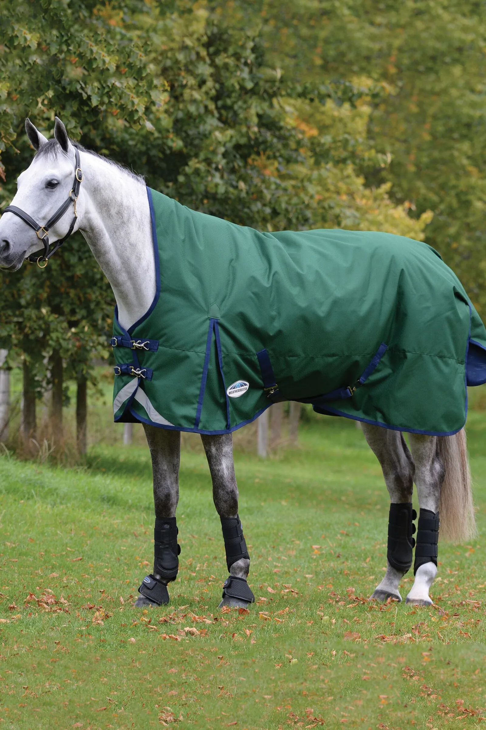 Discount Comfitec Plus Dynamic II High Neck Medium/Light Turnout Rug, 100g Overgangsdekken & Vinterdekken