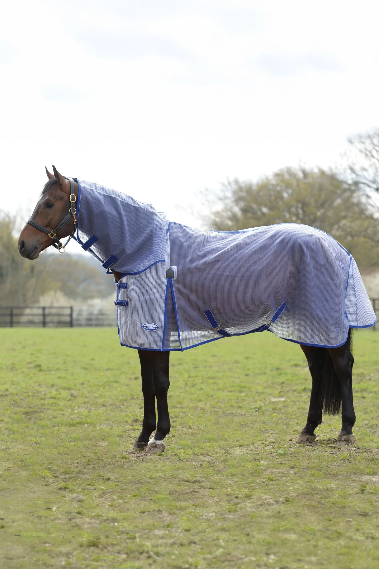 Comfitec Ripshield Plus med Ultra Belly Wrap Combo Neck Regndekken