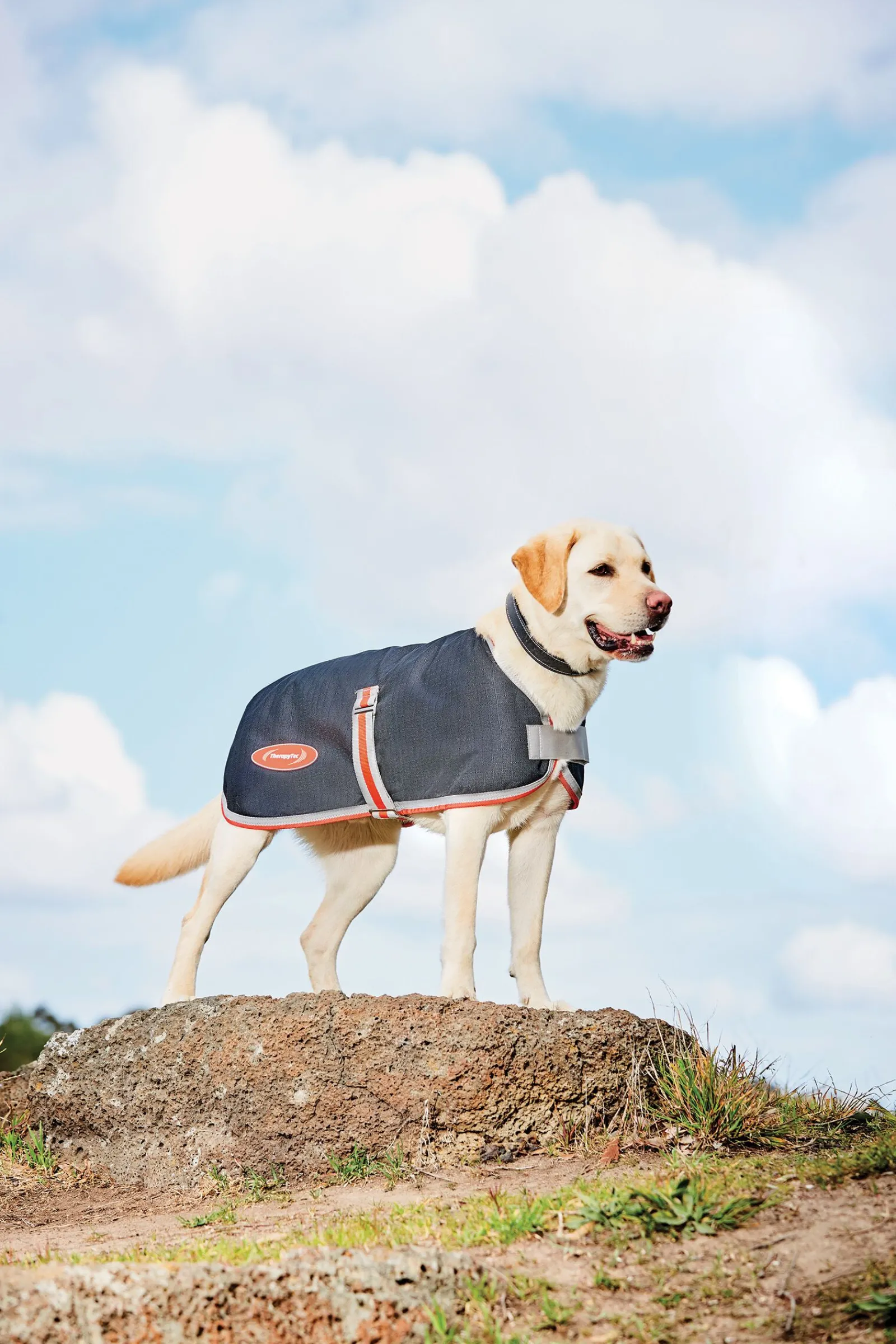 Outlet Comfitec Therapy-Tec 1200D Dog Coat, 100g Hundeklær Og Hundedekken