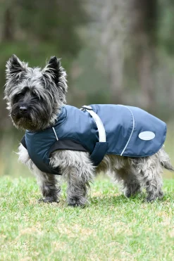 Discount Explorer Medium Hundefrakk Hundeklær Og Hundedekken