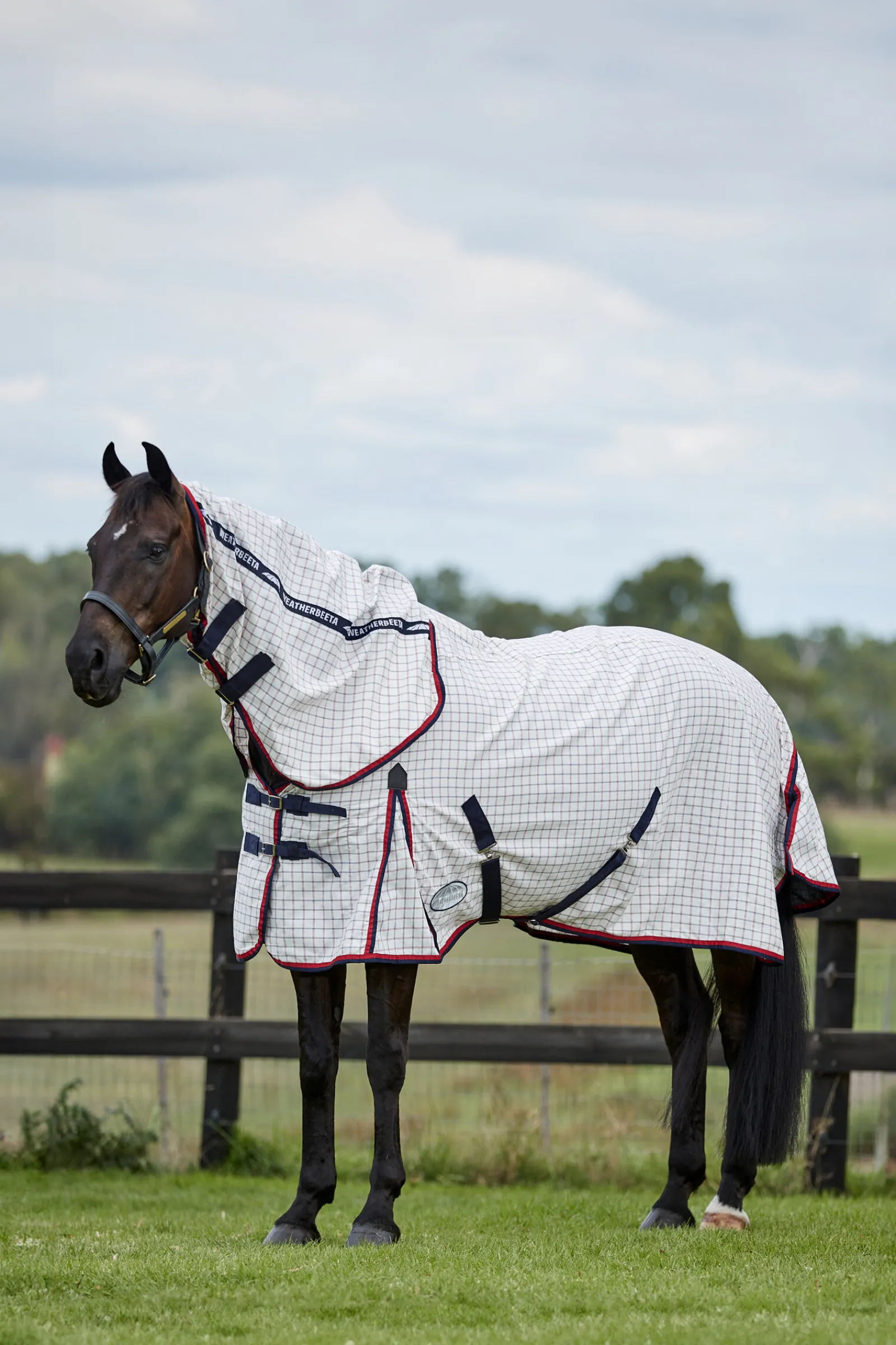 Outlet Summer Sheet Lite IV Combo Neck Insektsdekken|Insektsdekken